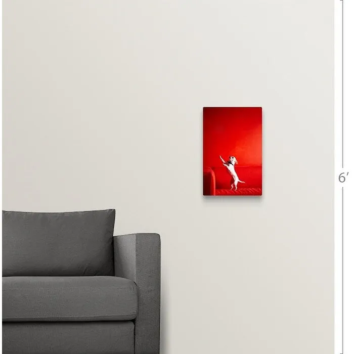 "Begging Chihuahua standing on red sofa" Canvas Wall Art