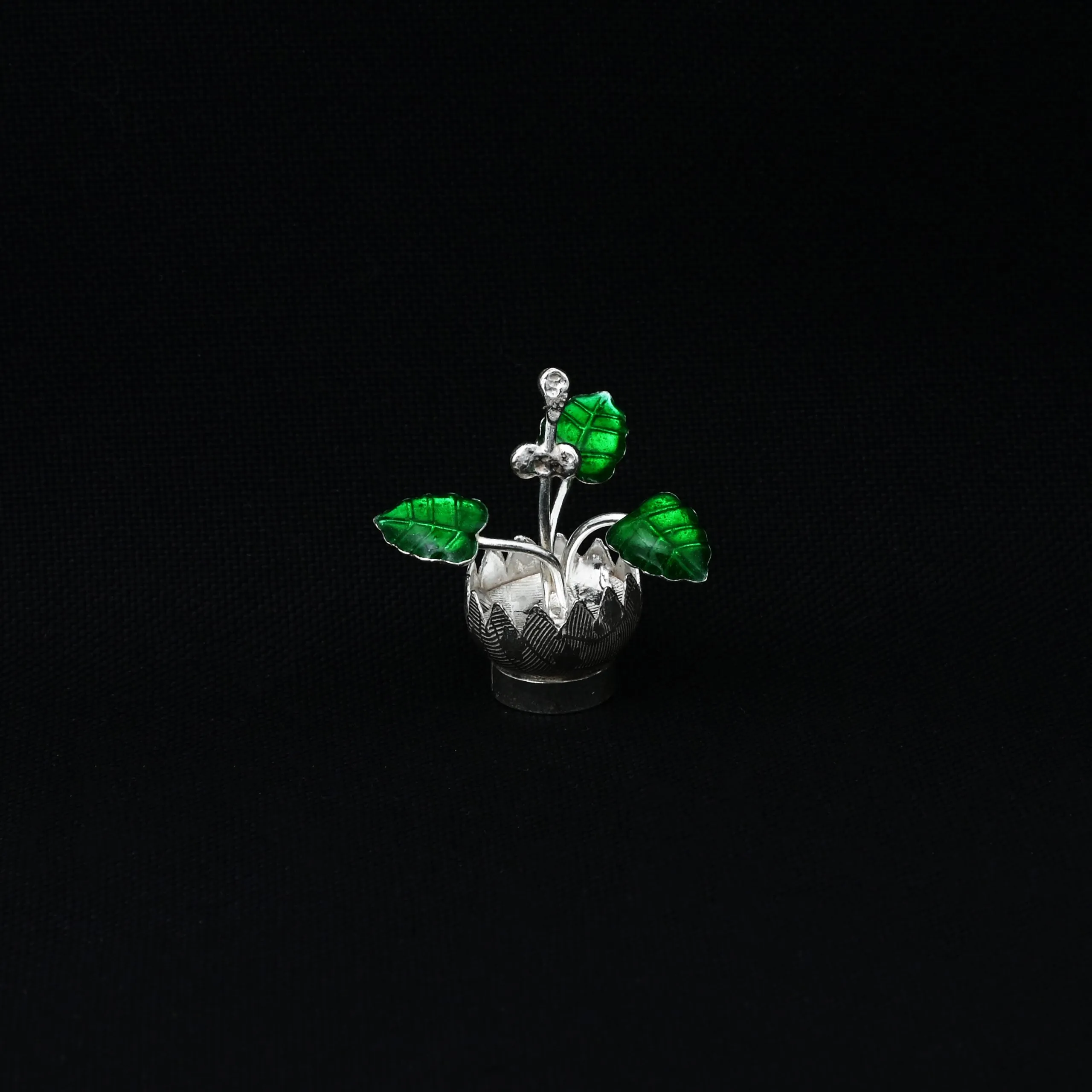 Silver "Verta" Pot Shape Tulsi Plant