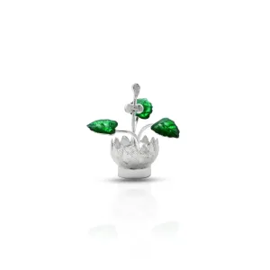 Silver "Verta" Pot Shape Tulsi Plant